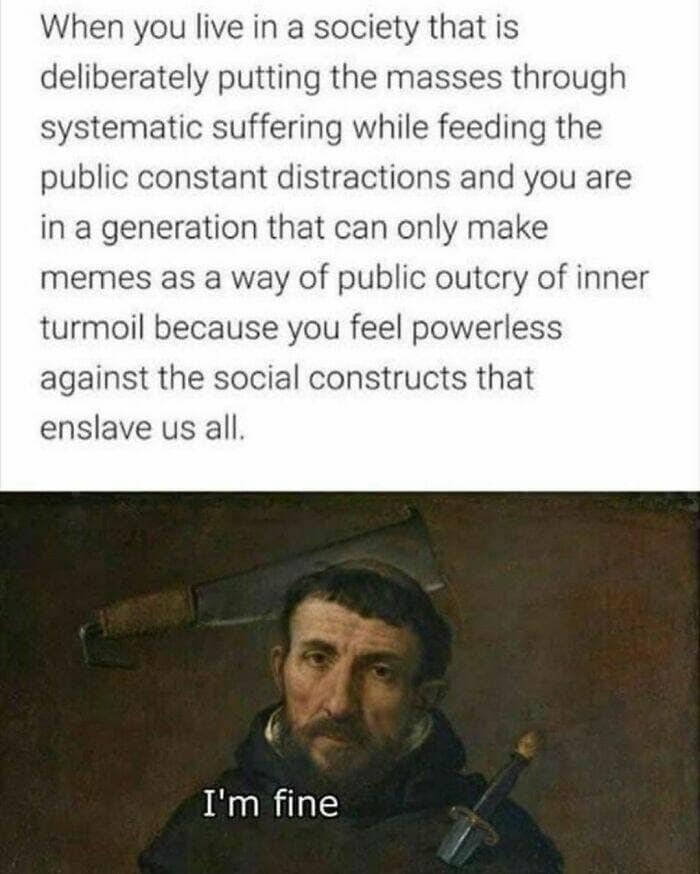 When you live in a society that is deliberately putting the masses through systematic suffering while feeding the public constant distractions and you are in a generation that can only make memes as a way of public outcry of inner turmoil because you feel powerless against the social constructs that enslave us all.