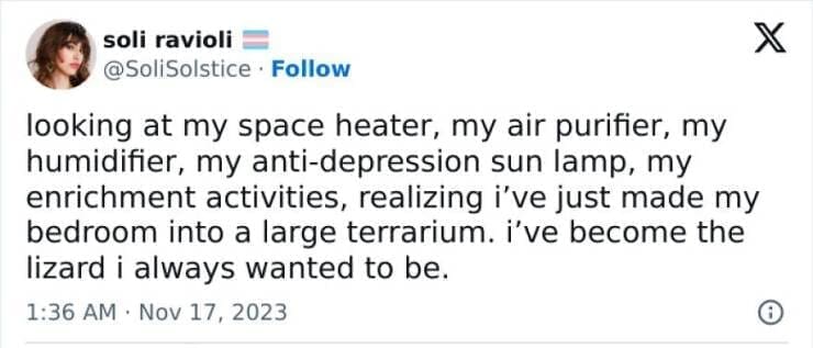 Antisocial Memes looking at my space heater, my air purifier, my humidifier, my anti-depression sun lamp, my enrichment activities, realizing i've just made my bedroom into a large terrarium. i've become the lizard i always wanted to be.