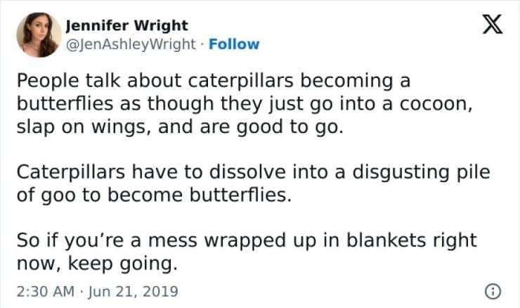 Antisocial Memes People talk about caterpillars becoming a butterflies as though they just go into a cocoon, slap on wings, and are good to go. Caterpillars have to dissolve into a disgusting pile of goo to become butterflies. So if you're a mess wrapped up in blankets right now, keep going.