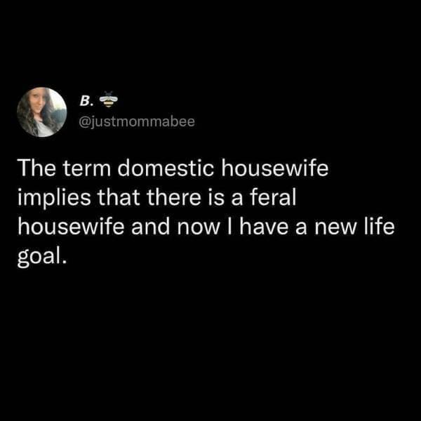 Antisocial Memes The term domestic housewife implies that there is a feral housewife and now I have a new life goal.
