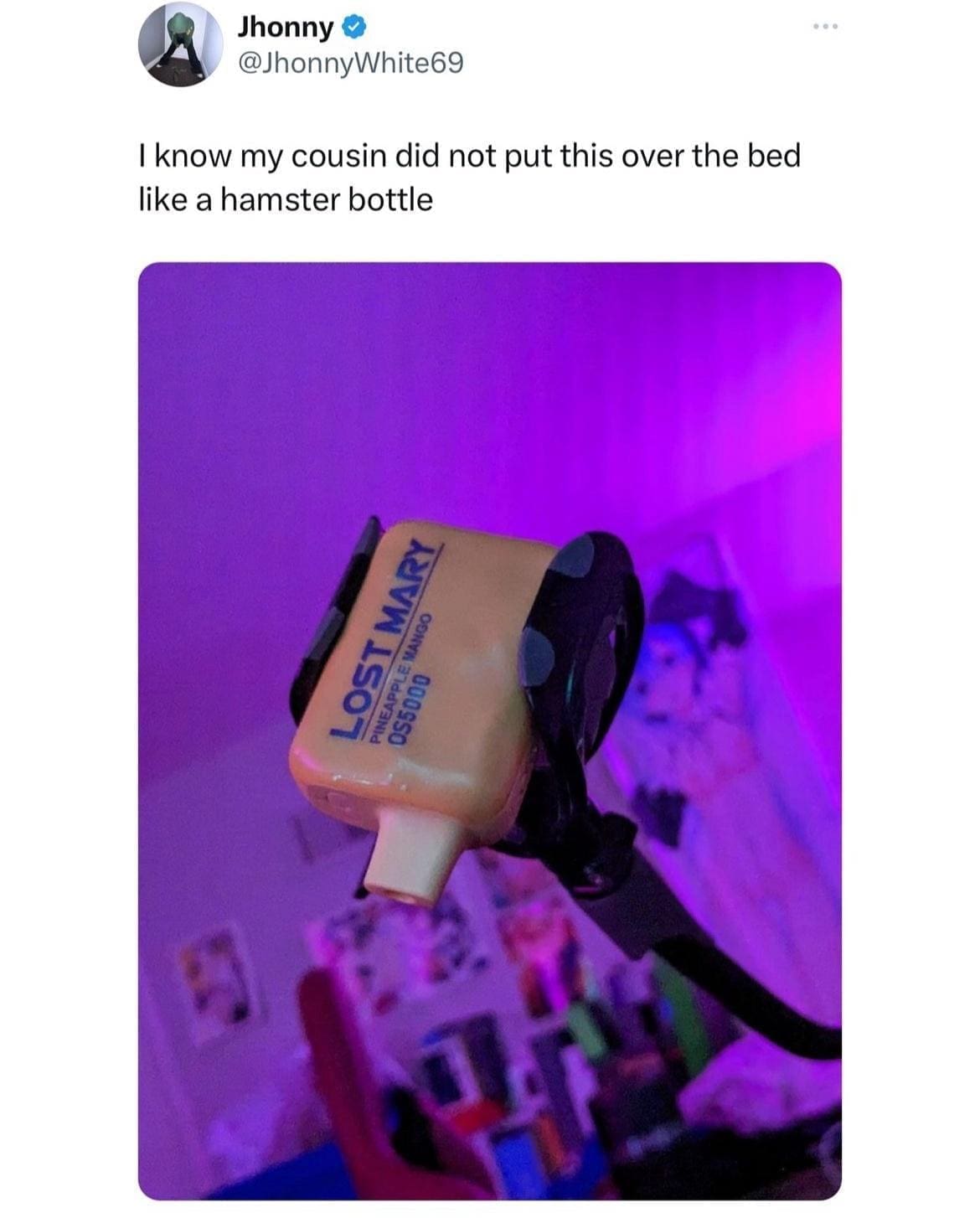 British Memes I know my cousin did not put this over the bed like a hamster bottle