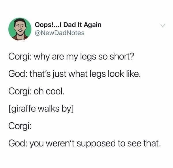 classic memes, vintage memes, internet classics, iconic humor, viral memes, iconic internet humor, timeless jokes