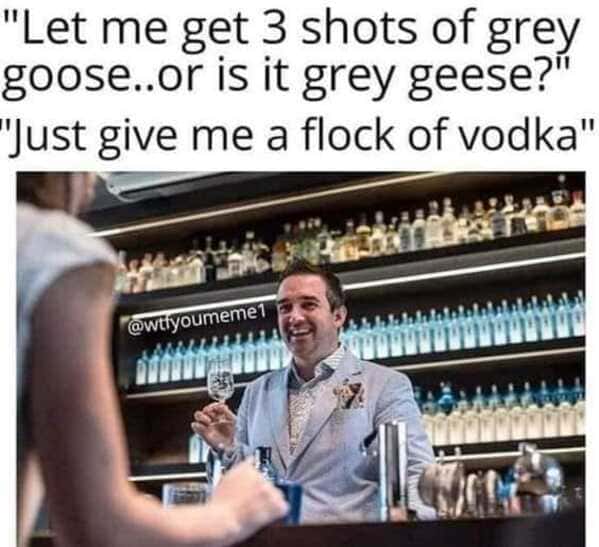 Dumb Memes 
