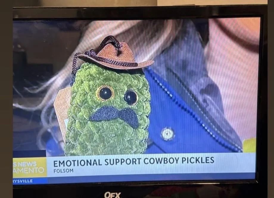 funny meme EMOTIONAL SUPPORT COWBOY PICKLES