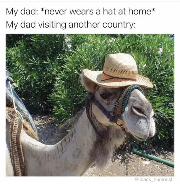 funny memes My dad: *never wears a hat at home* My dad visiting another country: