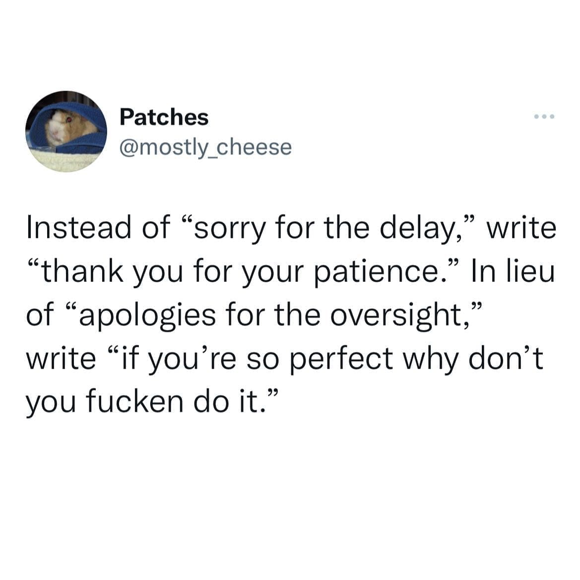 funny memes Instead of "sorry for the delay," write "thank you for your patience." In lieu of "apologies for the oversight," write "if you're so perfect why don't you do it."