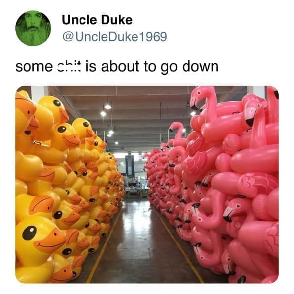 funny pics UncleDuke1969 some chit is about to go down