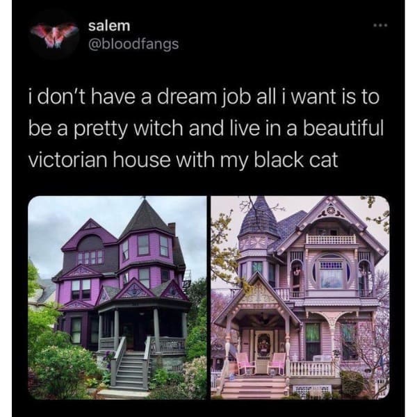 funny pics @bloodfangs i don't have a dream job all i want is to be a pretty witch and live in a beautiful victorian house with my black cat