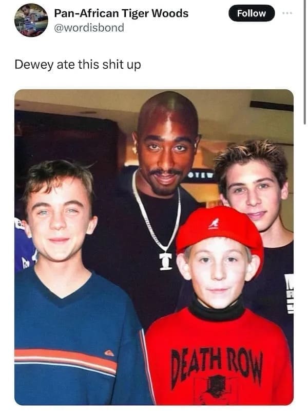 funny pics