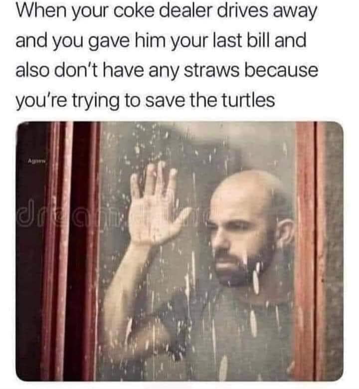 meme dump, hilarious memes