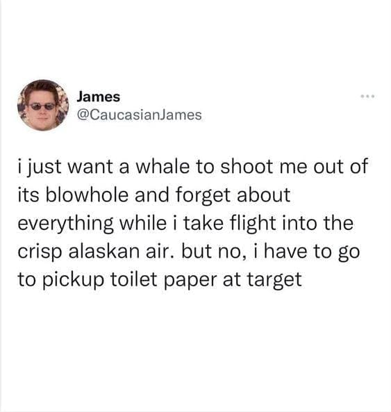 i just want a whale to shoot me out of its blowhole and forget about everything while i take flight into the crisp alaskan air. but no, i have to go to pickup toilet paper at target