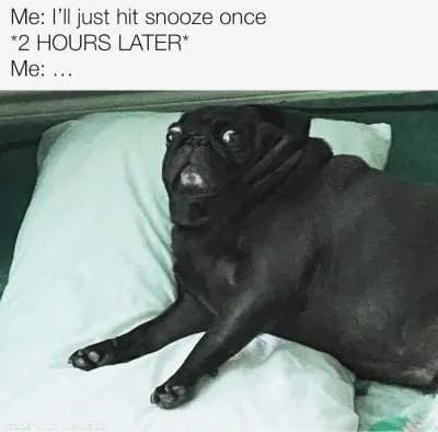 Sleep memes Me: Mijust hit snooze once *2 HOURS LATER* Me: