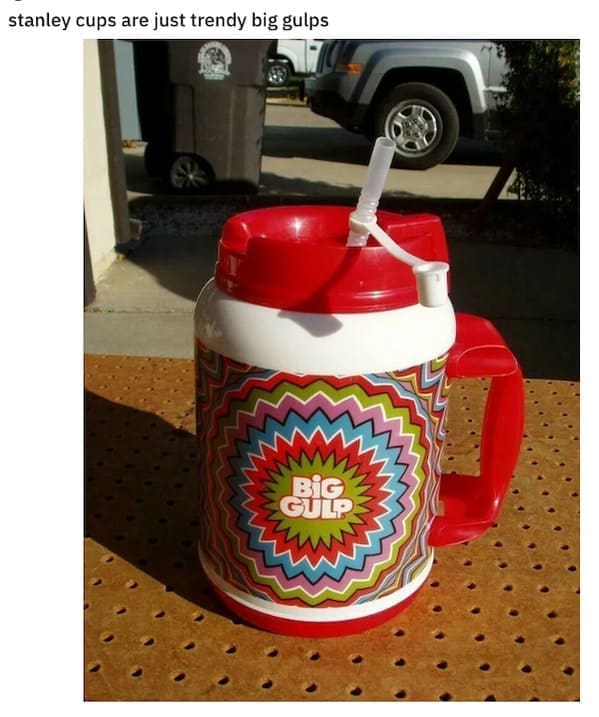 stanley cups are just trendy big gulps