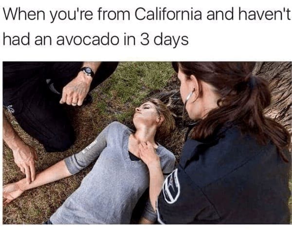 State memes When you're from California and haven't had an avocado in 3 days