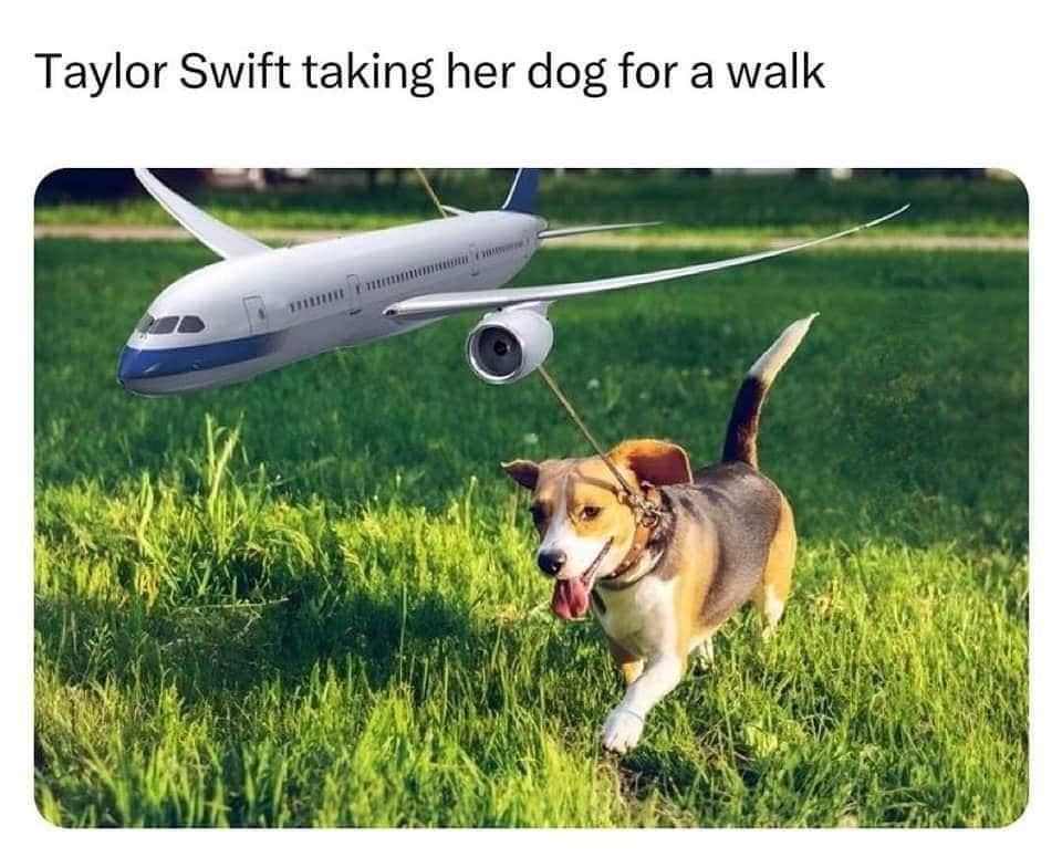 taylor swift private jet memes, taylor swift memes, Swiftie jet memes, taylor swift plane