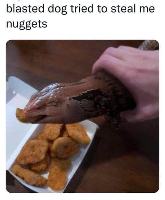 classic memes, vintage memes, viral tweets, old memes, best memes, Funny Memes of the Past, Iconic Internet Humor, Legendary Memes, Timeless Internet Jokes, Nostalgic Viral Posts