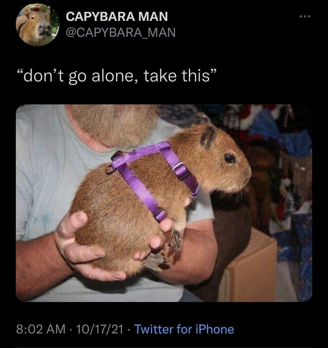 classic memes, vintage memes, old memes, best memes, viral memes, internet culture, retro memes, old-school memes, iconic memes