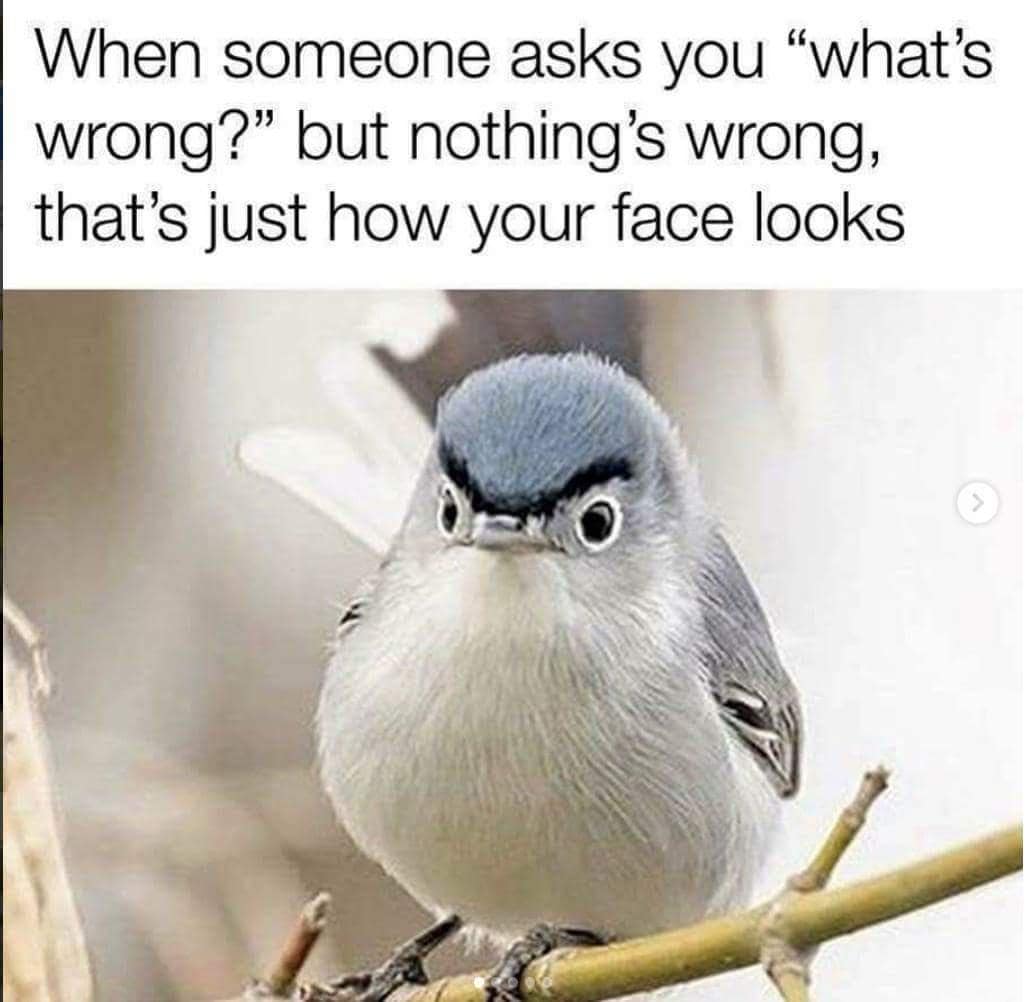 classic memes, vintage memes, old memes, best memes, iral tweets, internet humor, nostalgic humor, iconic memes, legendary tweets, timeless humor