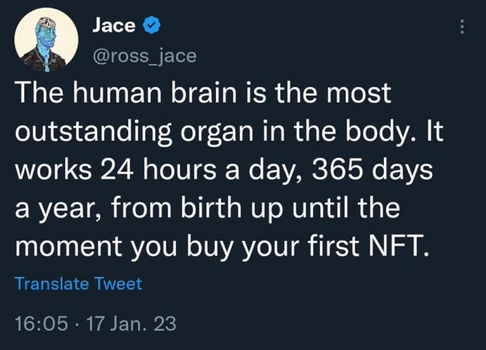 The human brain is the most outstanding organ in the body. It works 24 hours a day, 365 days a year, from birth up until the moment you buy your first NFT.