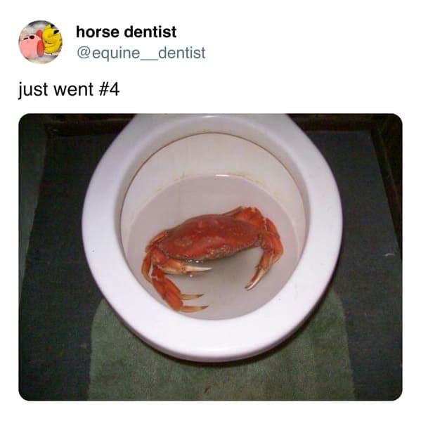 just went #4