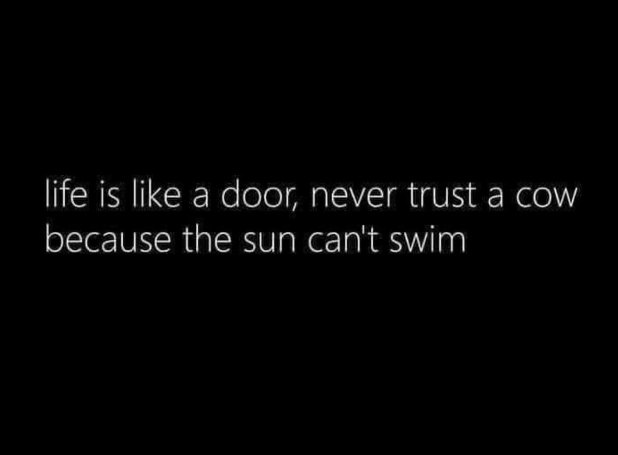 life is like a door, never trust a cow because the sun can't swim