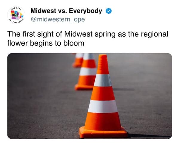 The first sight of Midwest spring as the regional flower begins to bloom