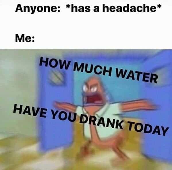 Anyone: *has a headache* Me: HOW MUCH WATER HAVE YOU DRANK TODAY