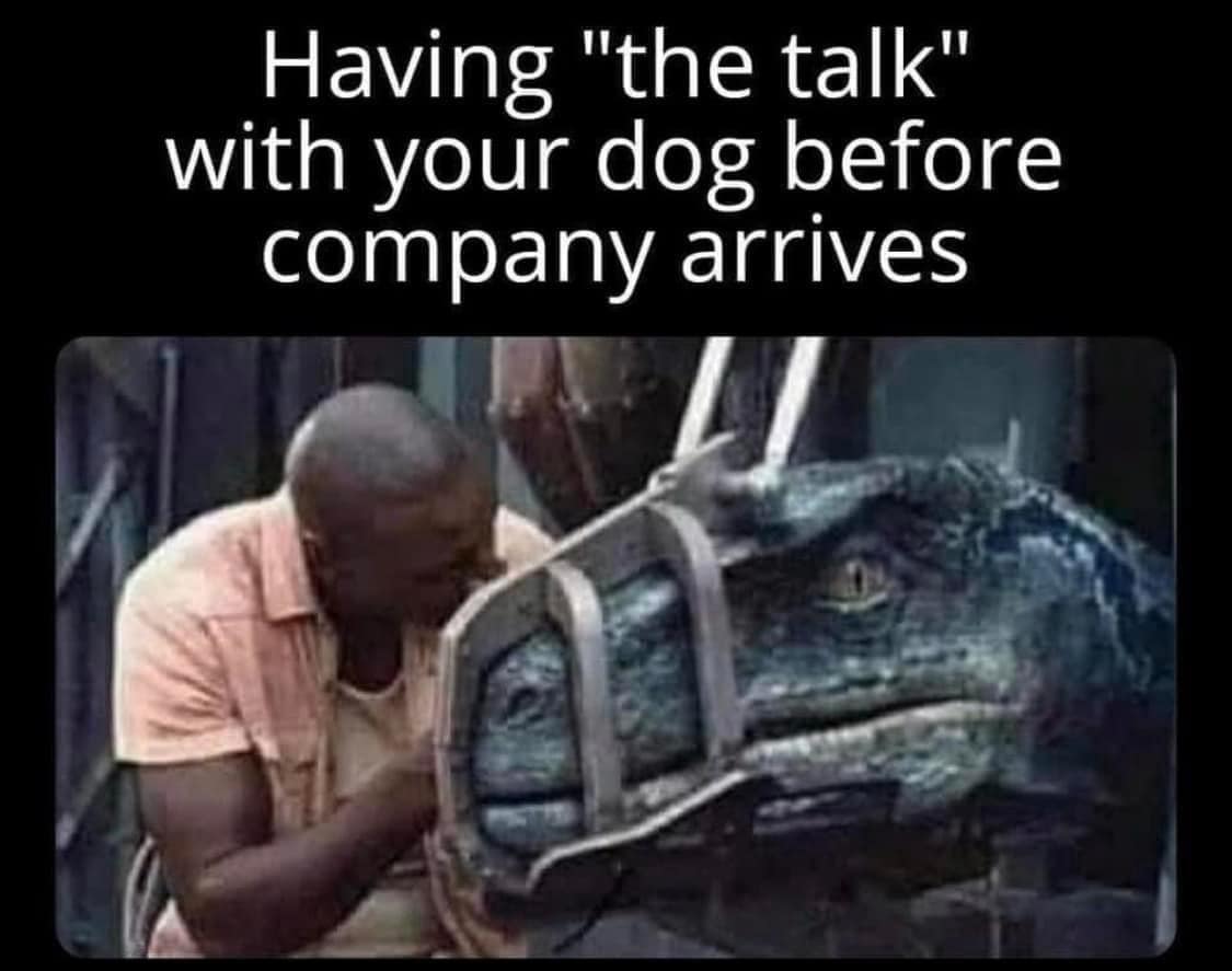 meme dump, hilarious memes, funny memes, internet humor, curated collection, comedy compilation, meme selection, humorous images