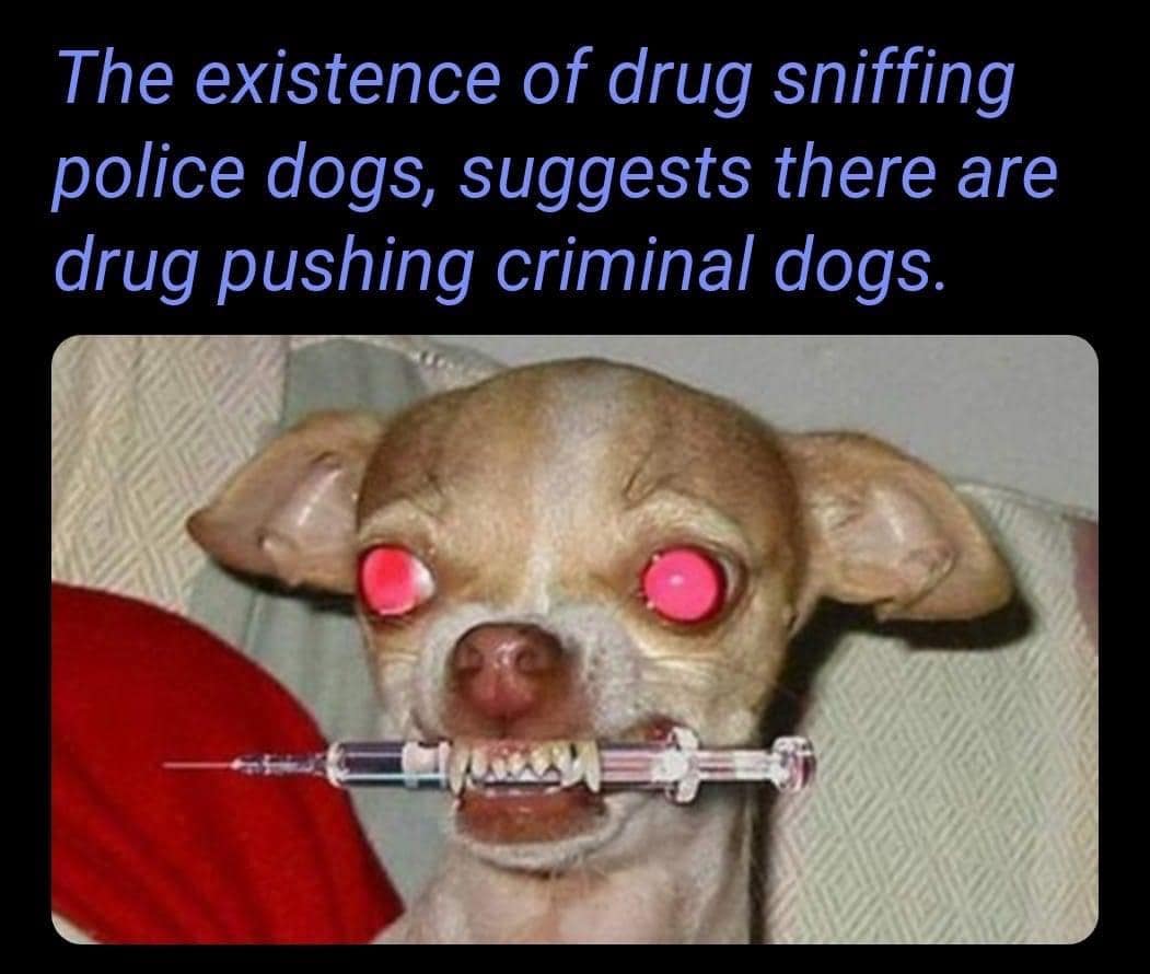 meme dump, hilarious memes, daily memes, fresh memes, funny memes, best memes, nternet humor, daily entertainment Synonyms: meme collection, funny images, laughter compilation