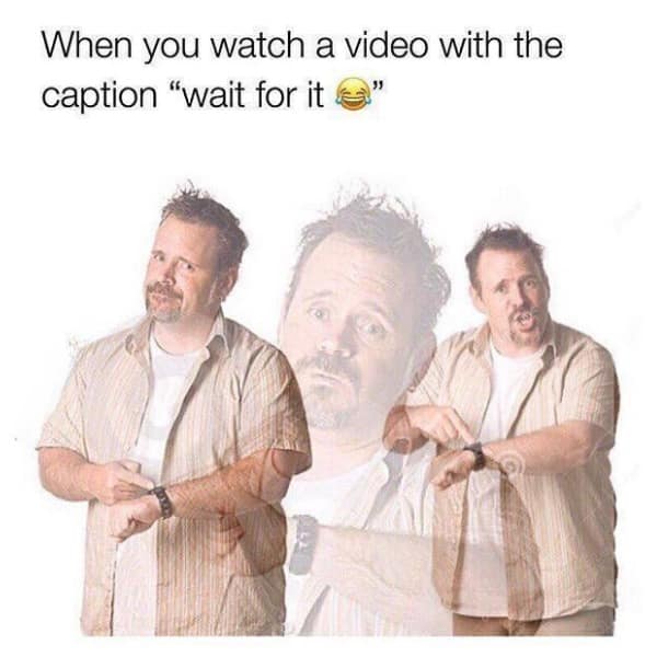 meme dump, hilarious memes, best memes, daily memes, funny memes, Internet Humor, Tweet Collection, Memetic Compilation, Laugh Riot Repository, Humor Dump