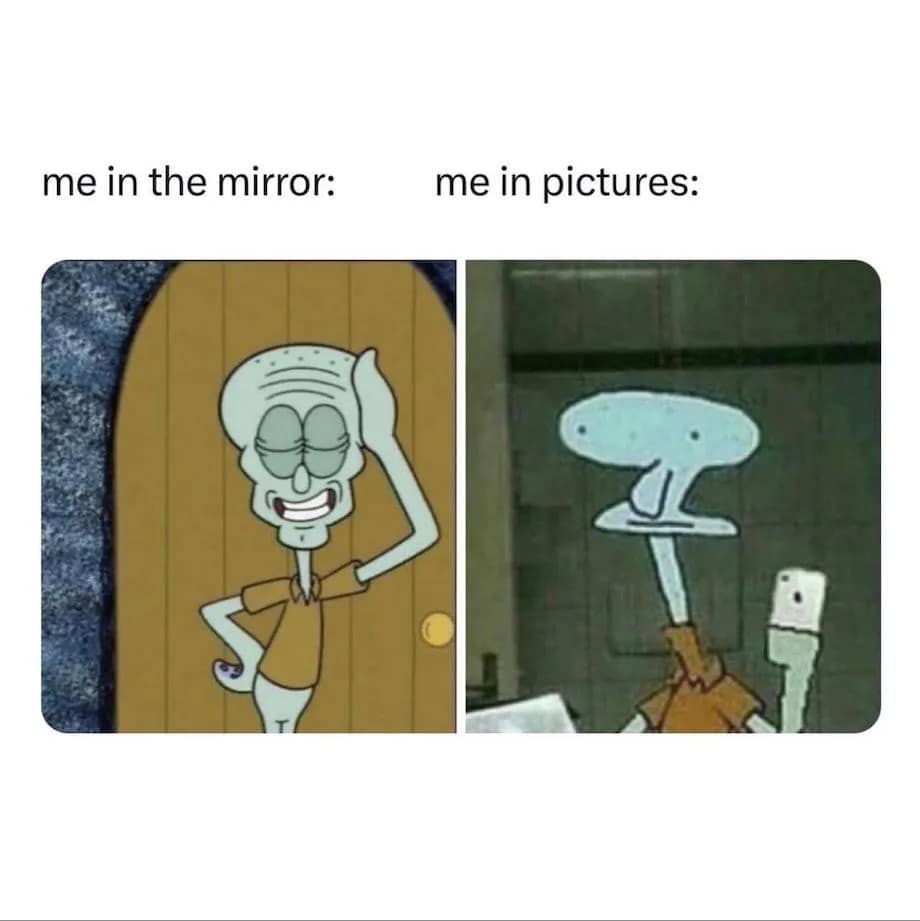 meme dump, hilarious memes, best memes, daily memes, funny memes, Internet Humor, Tweet Collection, Memetic Compilation, Laugh Riot Repository, Humor Dump