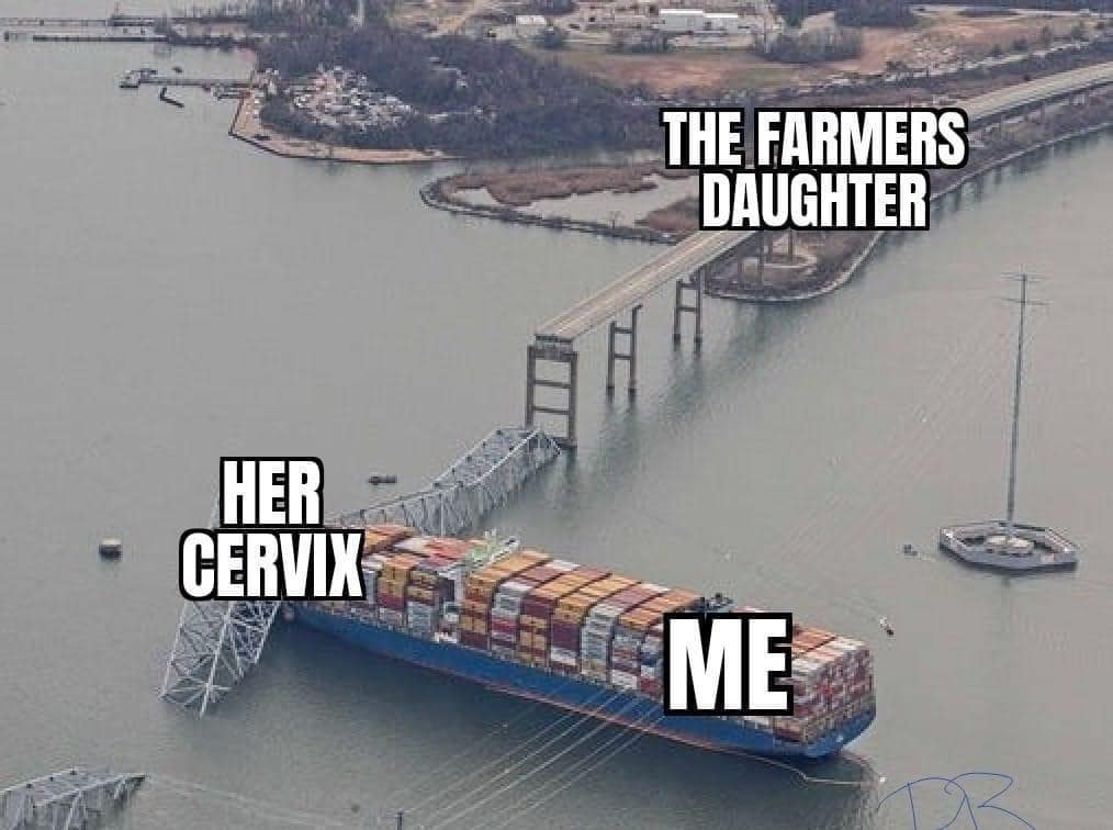 meme dump, hilarious memes, lunch break humor, daily memes, internet laughter, meme feast, comedic buffet, laughter bonanza