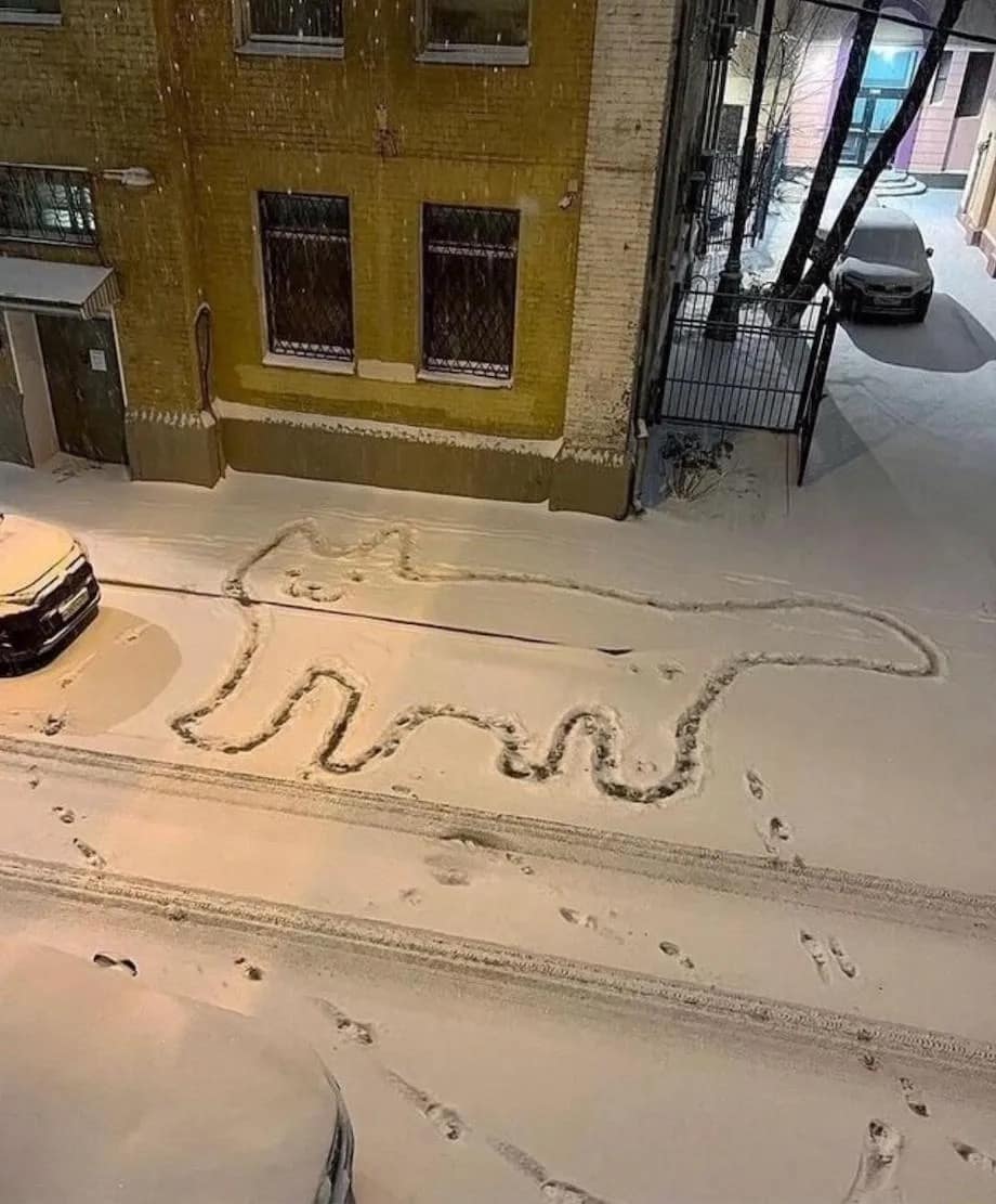 meme dump, hilarious memes, best memes, daily memes, funny memes, Internet Humor, Tweet Collection, Memetic Compilation, Laugh Riot Repository, Humor Dump