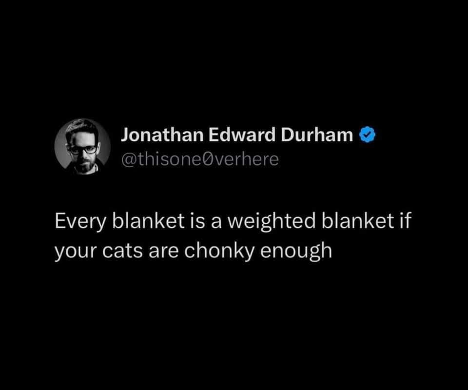 meme dump, hilarious memes, funny memes, laughter-inducing memes, amusing memes, comical memes, uproarious memes