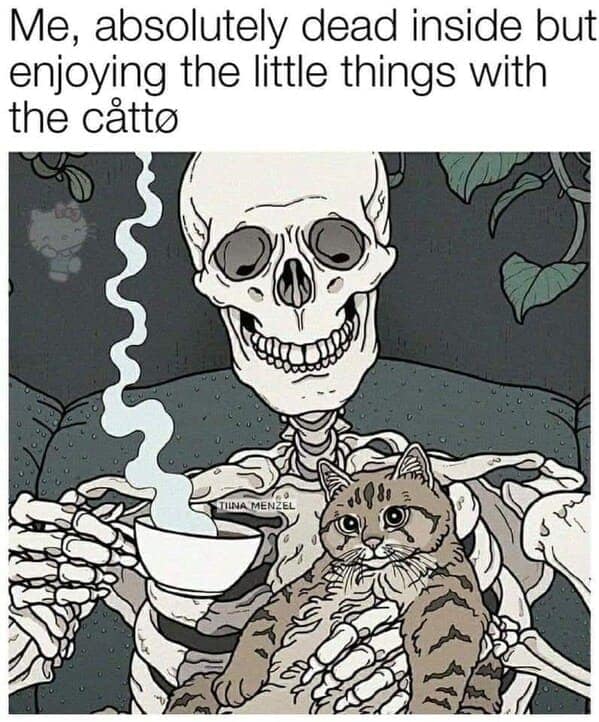 relatable memes, veryday struggles humor, universal challenges memes, life's little absurdities, relatable humor, common experiences memes, shared