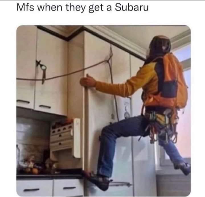 relatable memes, hared experiences, collective nods, human connection, universal humor, everyday moments, meme camaraderie