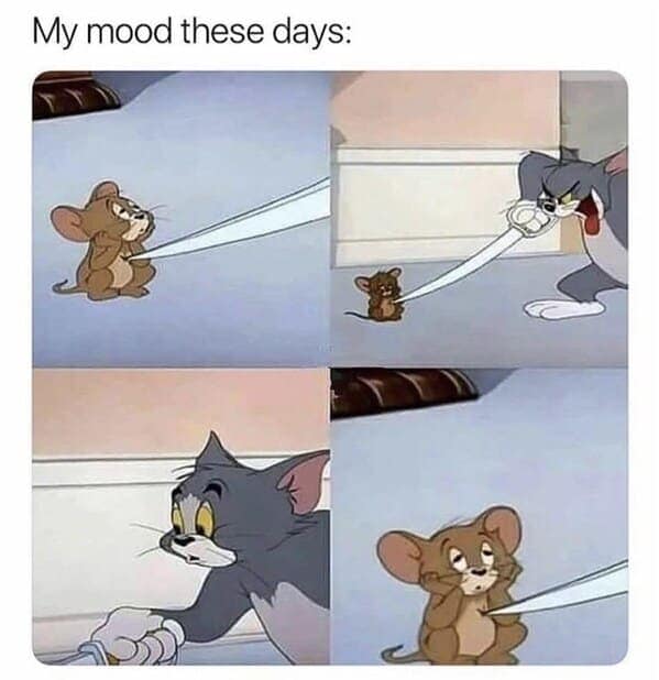 relatable memes, veryday struggles humor, universal challenges memes, life's little absurdities, relatable humor, common experiences memes, shared