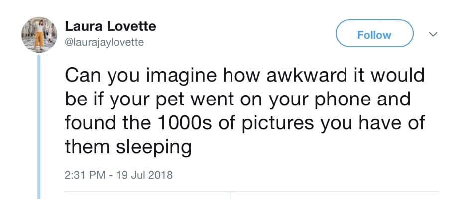 relatable memes, relatable humor, everyday struggles humor, universal experiences jokes, life's little moments laughter, common life experiences memes, shared realities jokes