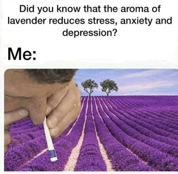 relatable memes, veryday struggles humor, universal challenges memes, life's little absurdities, relatable humor, common experiences memes, shared