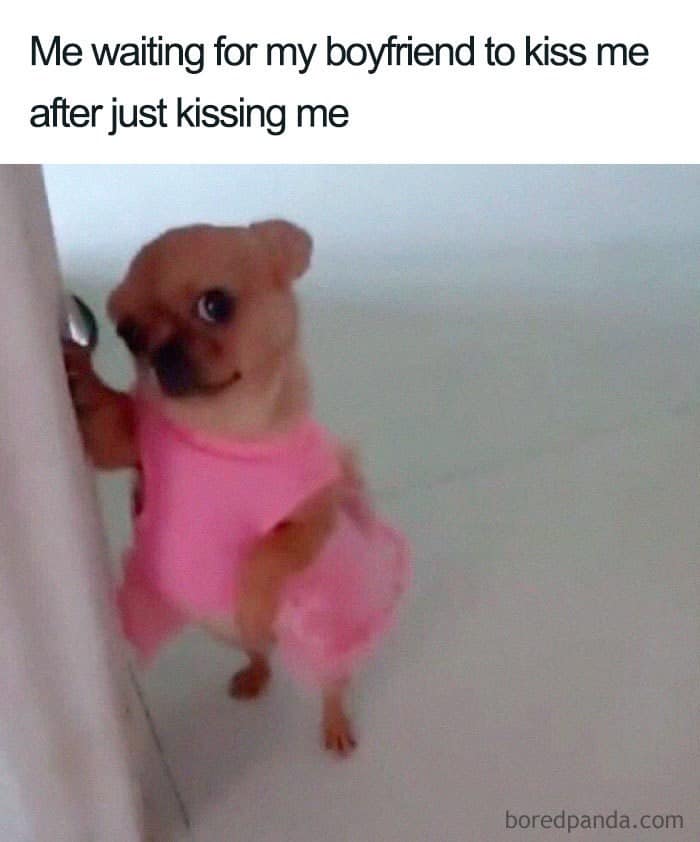 relationship memes, love memes, couples humor, romantic laughter, partnership memes, dating humor, affectionate jokes