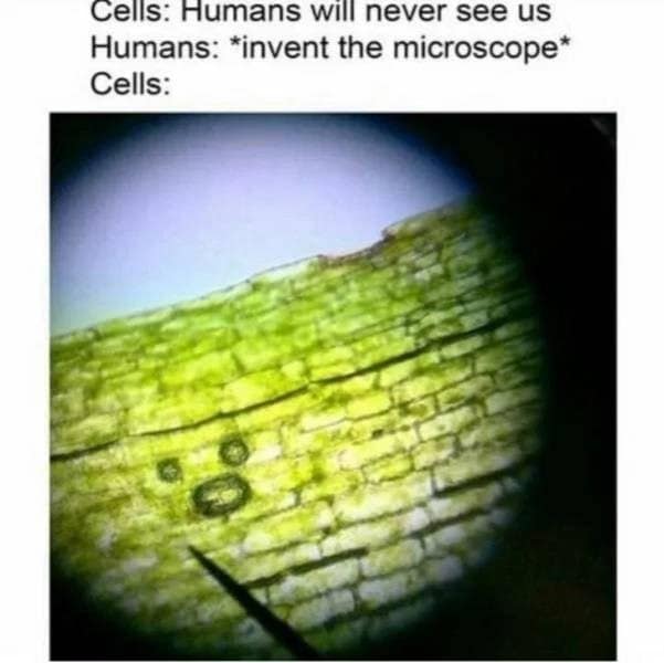 Cells: Humans will never see us Humans: *invent the microscope* Cells: