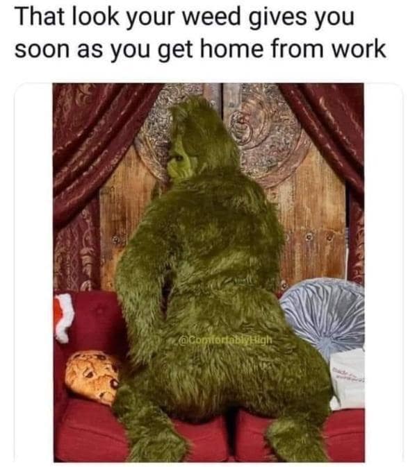 420 memes, weed memes, stoner memes, Cannabis Memes, Funny Stoner Content, Hilarious Stoner Stuff, Amusing Dope Culture, Pot Jokes, Cannabis Comedy