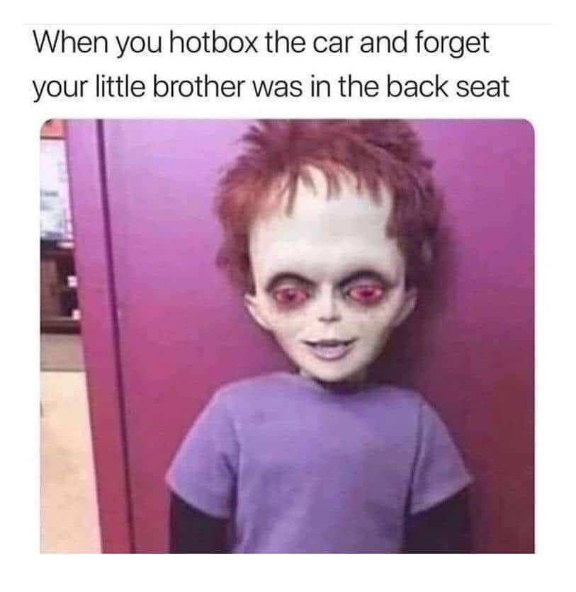 420 memes, weed memes, stoner memes, Cannabis Memes, Funny Stoner Content, Hilarious Stoner Stuff, Amusing Dope Culture, Pot Jokes, Cannabis Comedy