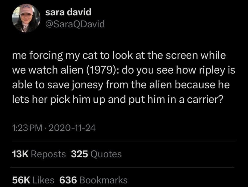 classic memes, viral tweets, vintage memes, Meme History, Viral Trends, Nostalgic Content, Iconic Memes, old memes