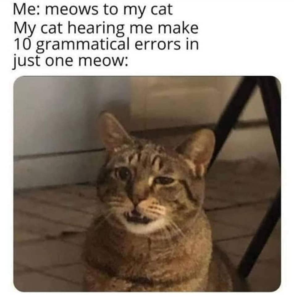 classic memes, viral tweets, vintage memes, Meme History, Viral Trends, Nostalgic Content, Iconic Memes, old memes