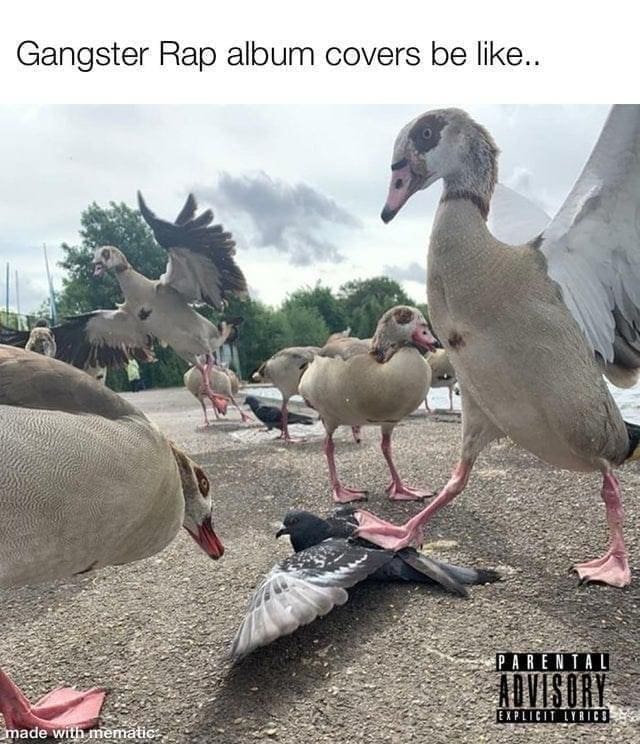 Gangster Rap album covers be like..