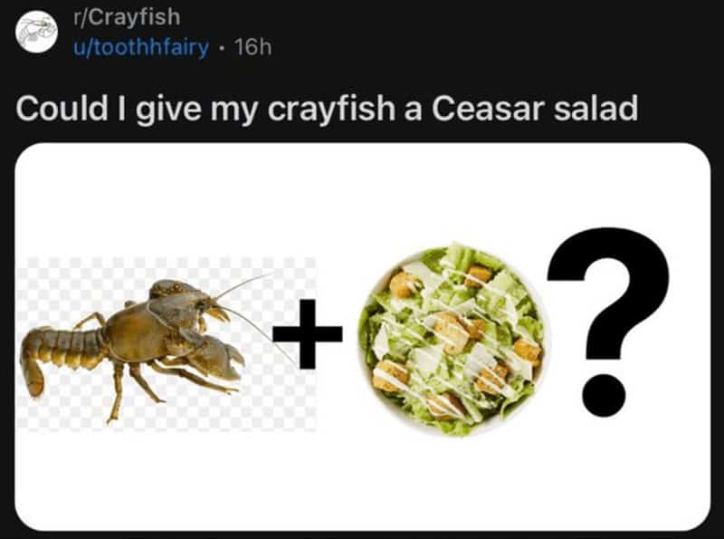 funny reddit posts, Weird Reddit Posts, Hilarious Online Communities, Unexpected Internet Humor, Strange Online Content, Bizarre Web Finds, Peculiar Social Media