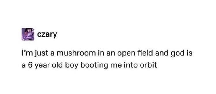 meme dump, funny memes, hilarious memes, Funny Memes, Dank Memes, Meme Stash, Meme Compilation, Meme Collection