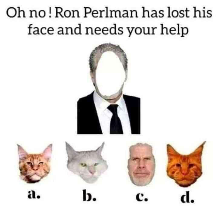 meme dump, funny memes, hilarious memes