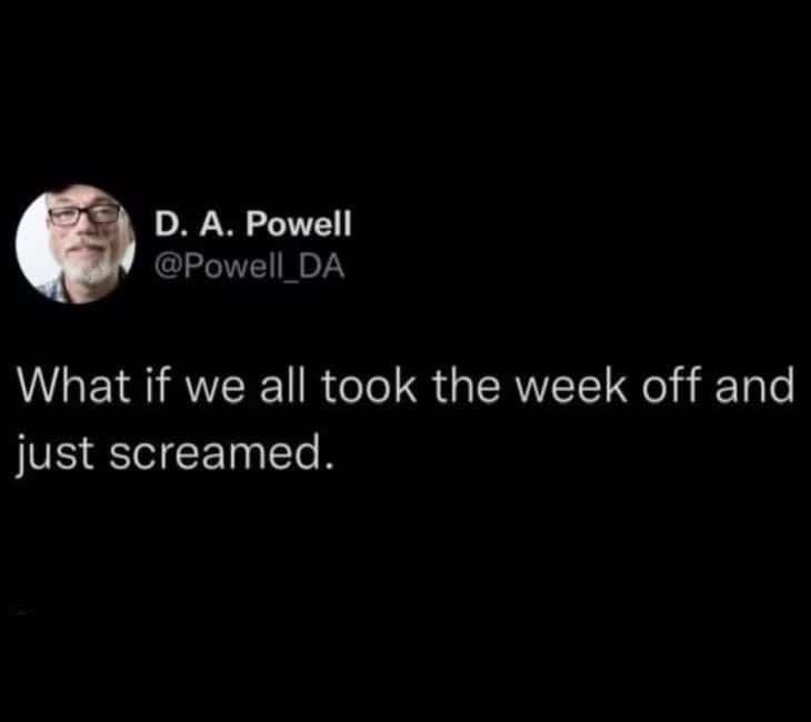 What if we all took the week off and just screamed.